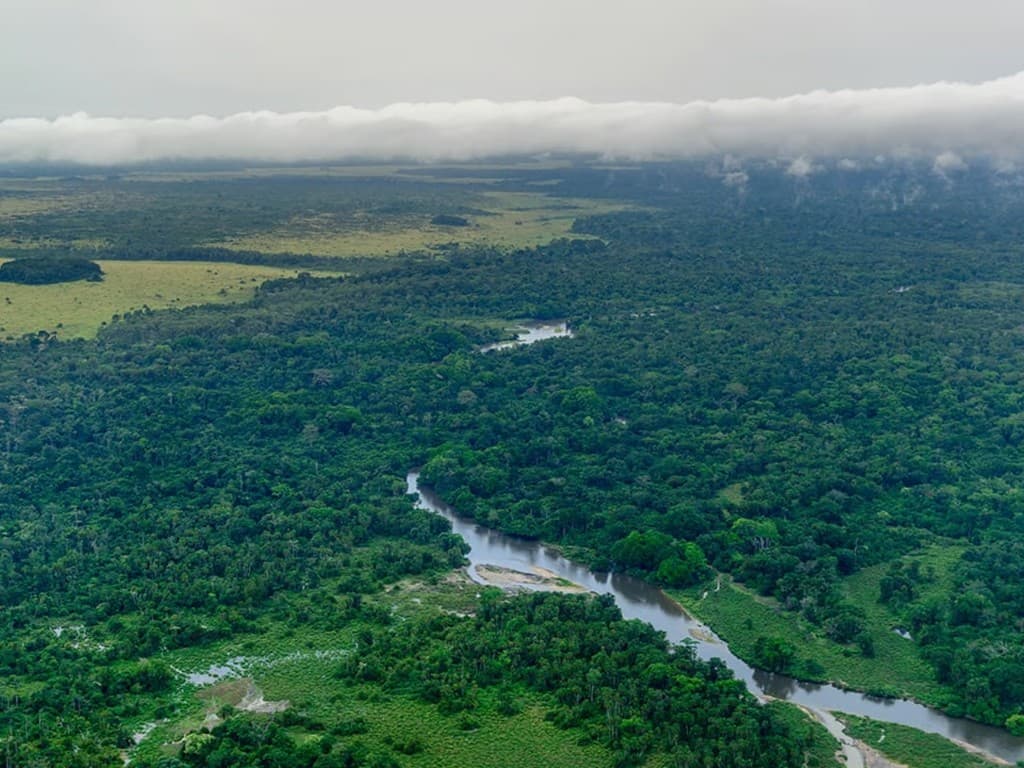 Vue aérienne du bassin du Congo — forêt tropicale et fleuve