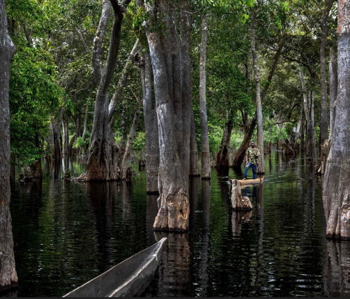 BIODIVERSITE DANS LE MONDE : LES ZONES HUMIDES ,UN PATRIMOINE EXCEPTIONNEL
