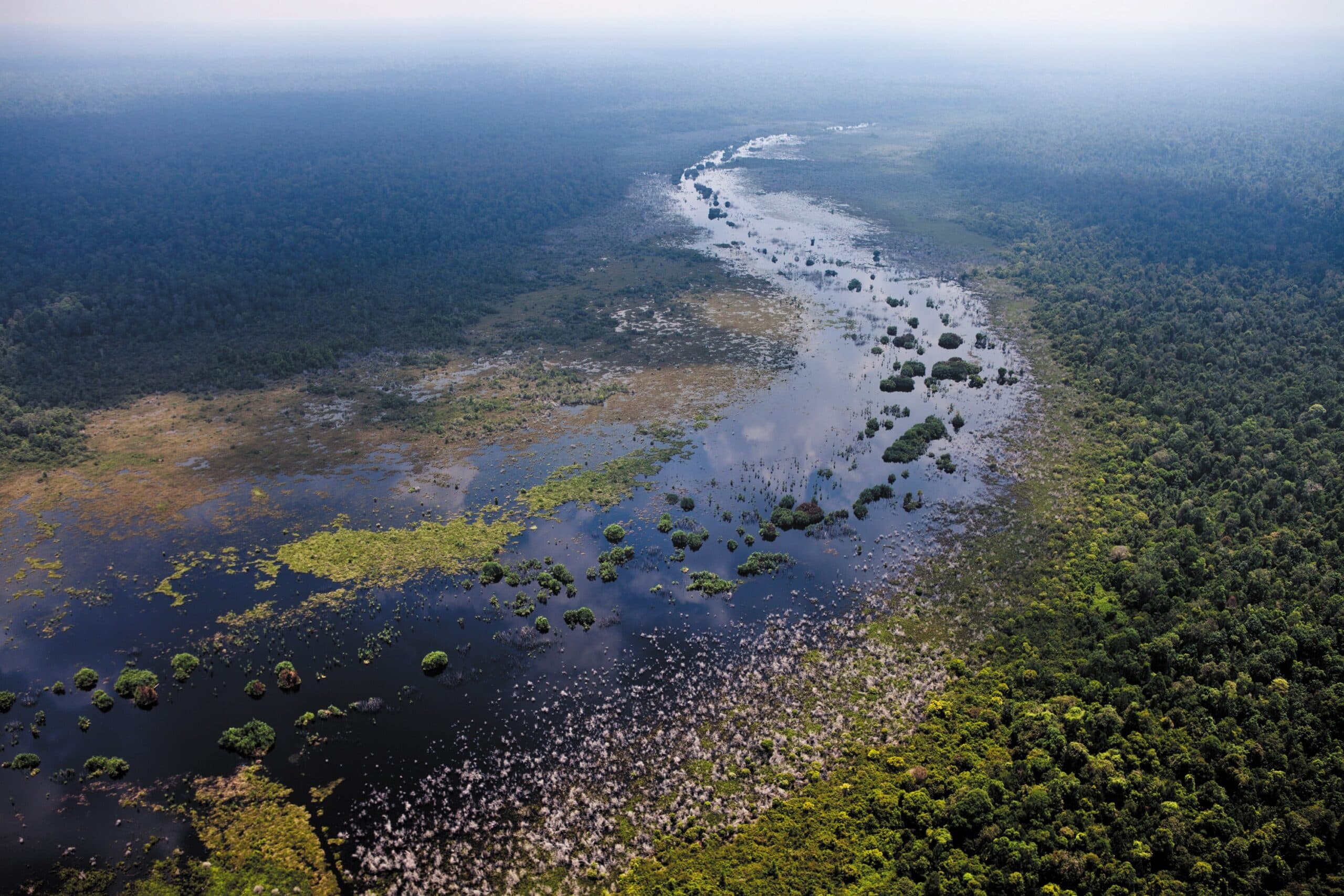 LES EAUX NOIRES DU BASSIN DU CONGO : UN EQUILIBRE CLIMATIQUE INVISIBLE SOUS MENACE