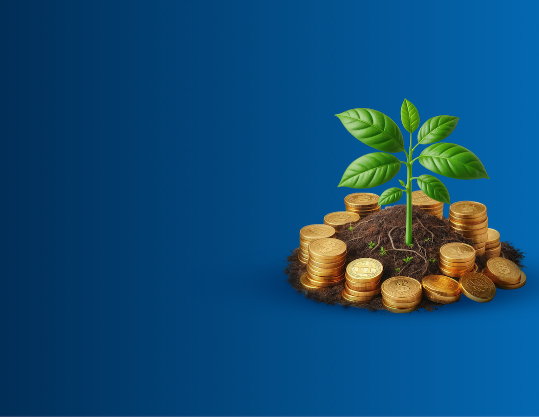 finance-school